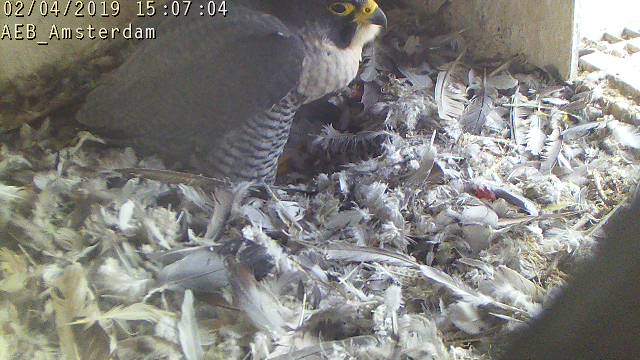 4173337F-92ED-497D-9352-461C6EA1D3C6