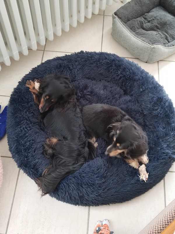 [Image: IMG-20230324-133831.jpg]