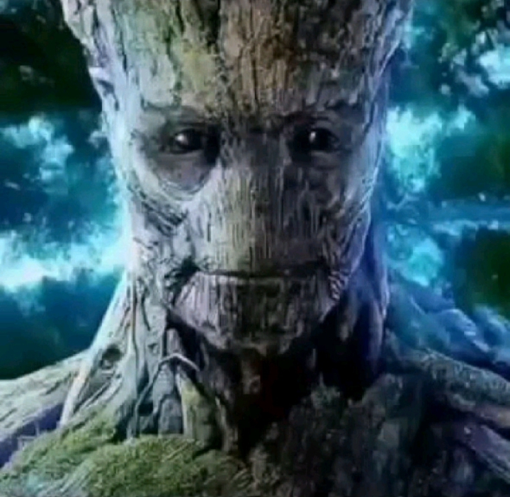 Screenshot 20260221 165822 1