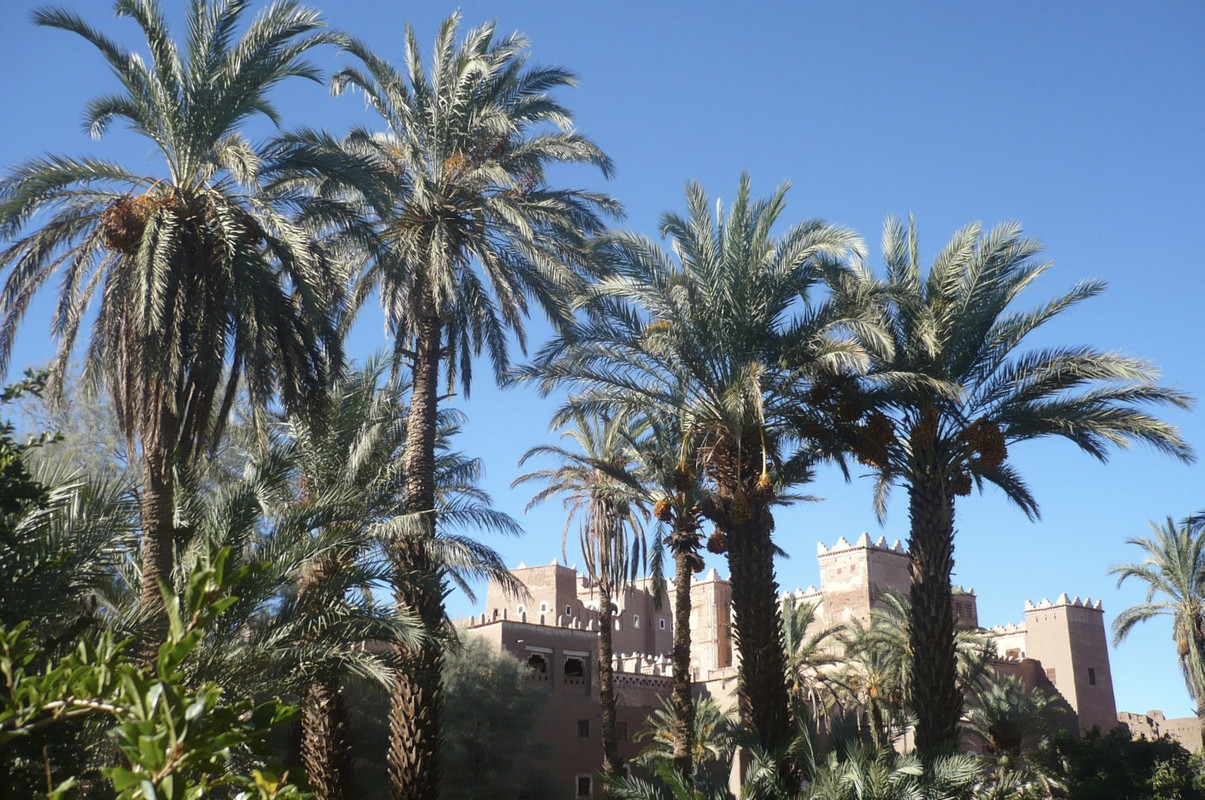 El Valle del Drâa, la gran arteria del sur de Marruecos - Blogs de Marruecos - Introducción (5)