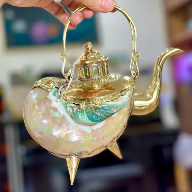 teapot-conch-shell.webp