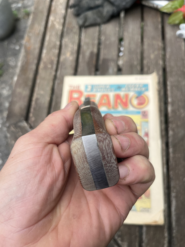 IMG-1656.jpg