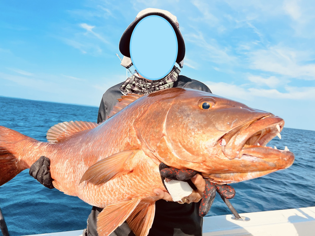 IMG_026417 (Conflicto de mayúsculas y minúsculas)