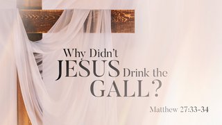 [Image: maxresdefault-9.jpg]