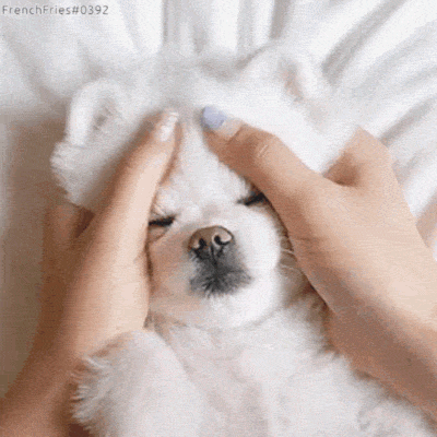 92153fd0bd3767f47816af4b69884d16.gif