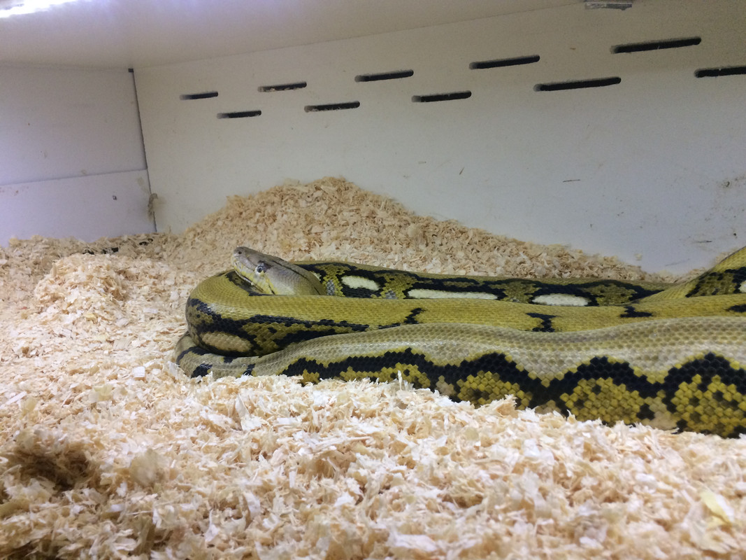 C6EDB345-2D8A-4CA2-87A9-B3467414322B