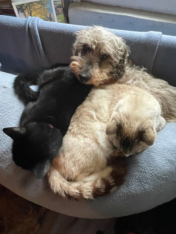 [Image: IMG-20240902-083540.jpg]