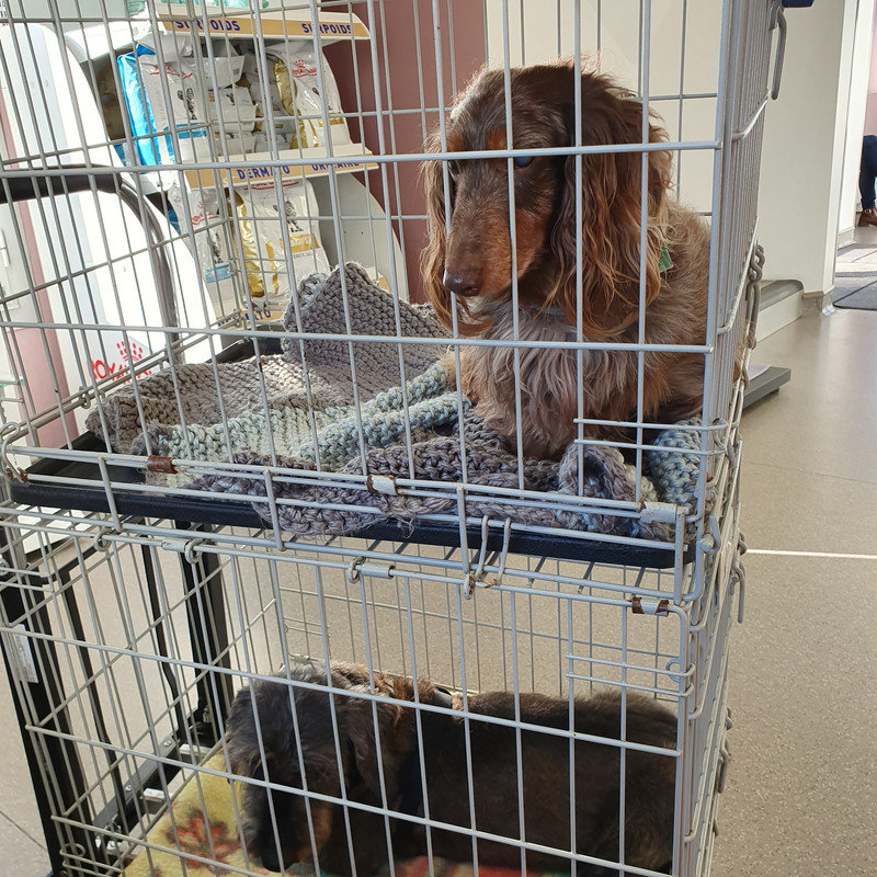 [Image: 20211110-151901.jpg]