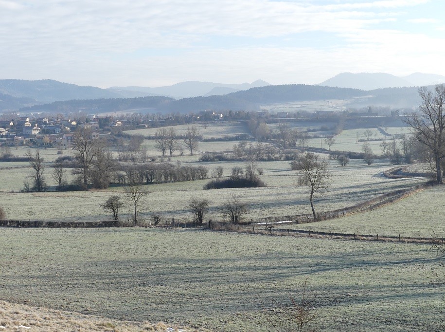 P1080534.jpg