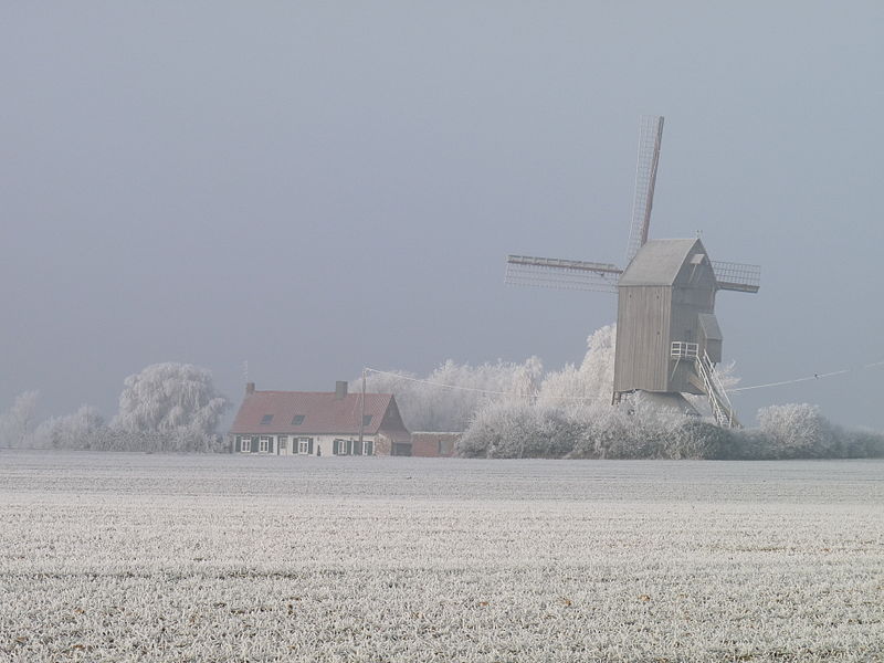 Flandre-en-hiver.jpg