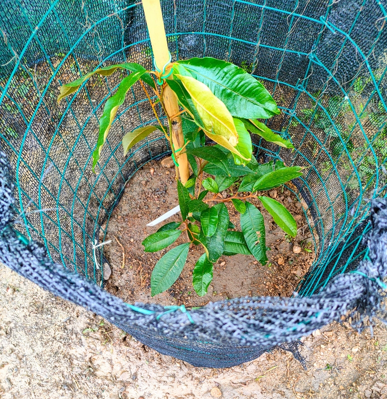 744167BE-E2B8-4951-9AB2-B6756950A50B