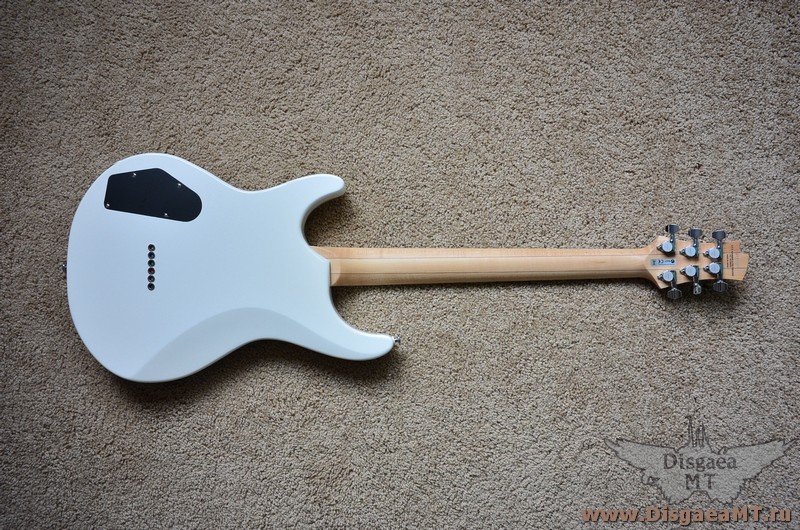 FGN_EEL-HM_bght_029