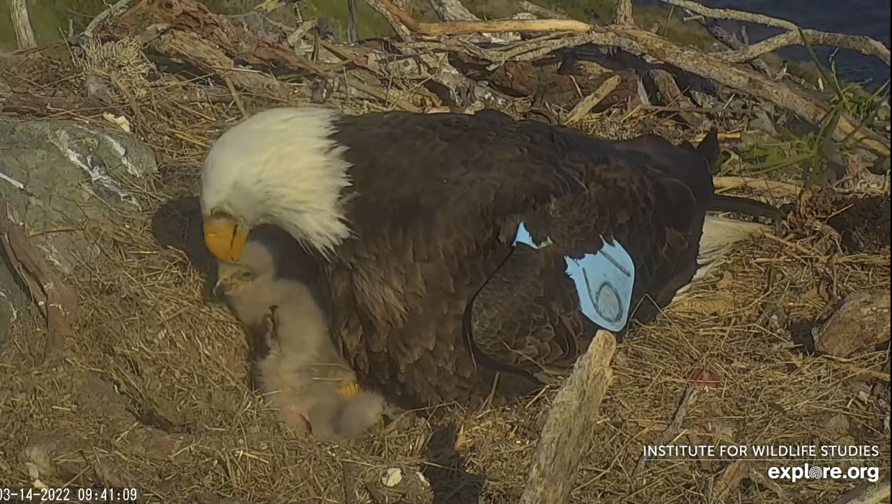 83AA9F86-470F-4B91-B50B-EC1A1D1C2C59