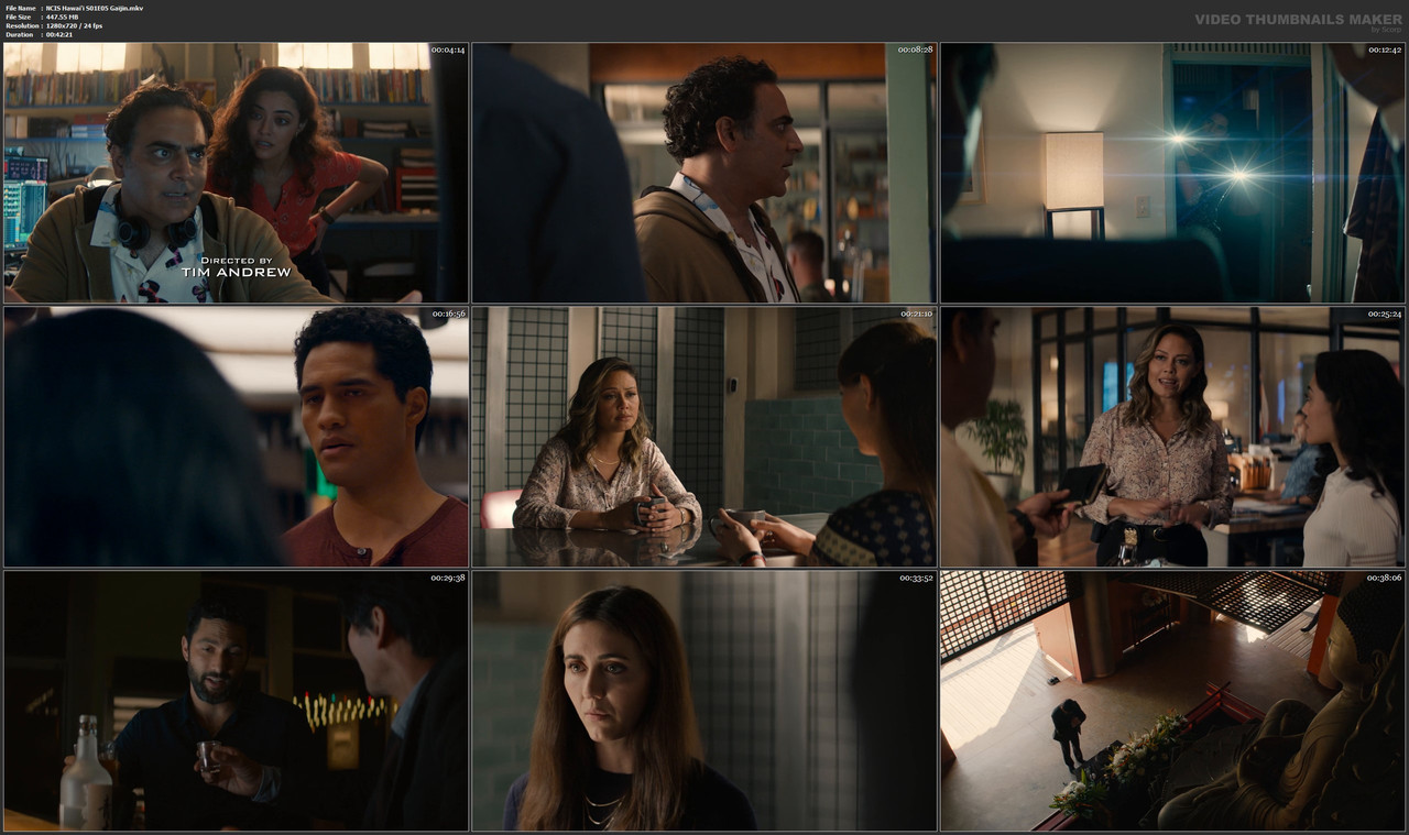 NCIS Hawai'i S01E05 Gaijin.mkv