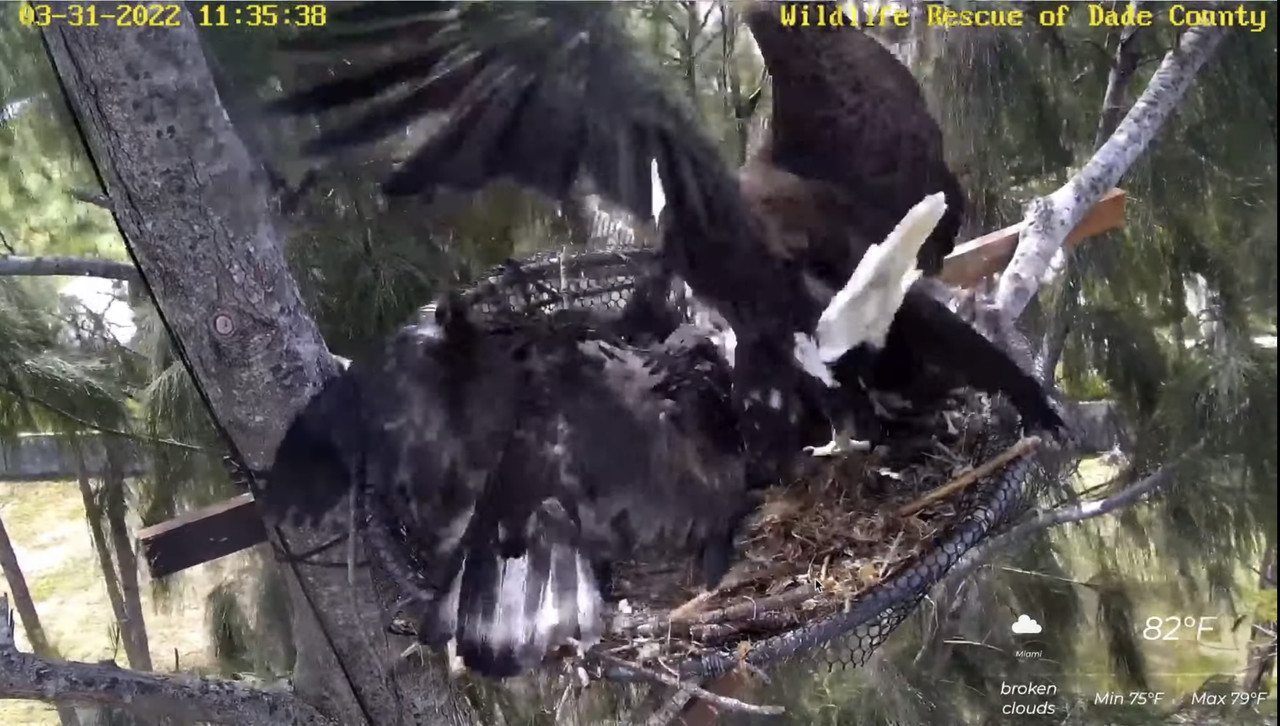 C94D8D09-5894-46A9-BD15-522A616CF5EA