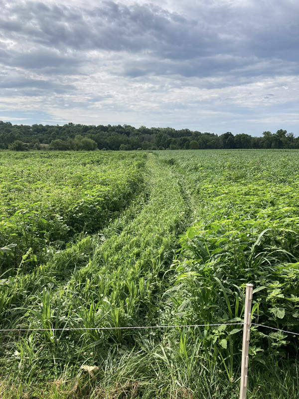 98BFE469-6813-43DC-97EB-86DDC251E981