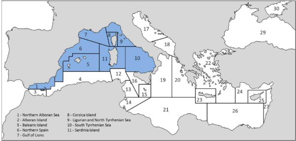 Geographical sub-areas in the western Mediterranean Sea. Source: European Commission