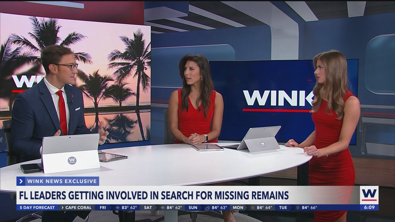 WINK News at 600am_20250207_11001130.ts_snapshot_10.45.993