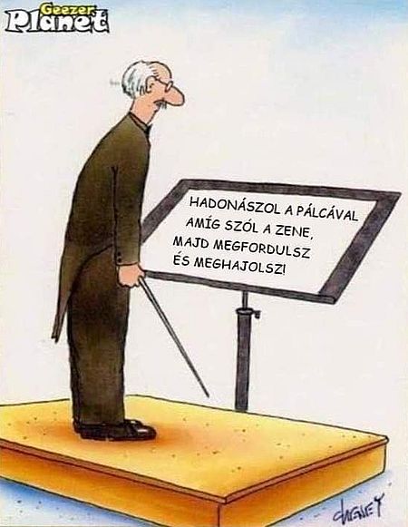 https://i.postimg.cc/Z5g1vz03/hadonaszol-a-palcaval.jpg