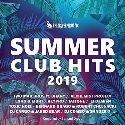 VA - Summer Club Hits 2019 (08/2019) VA-S19-opt