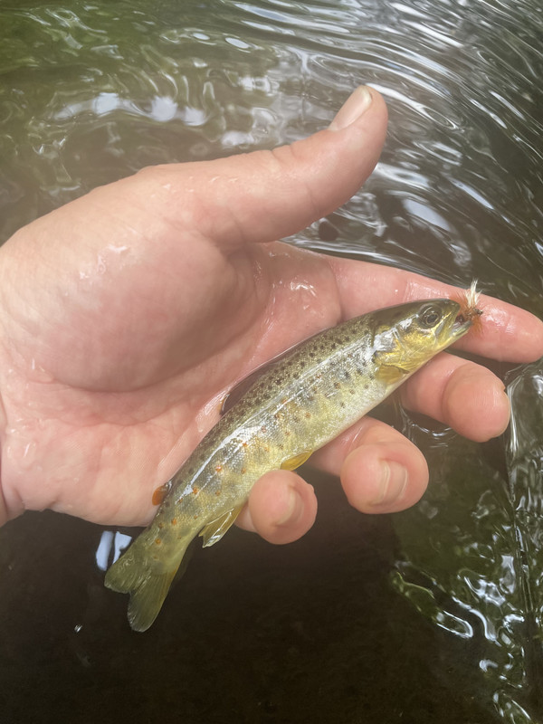 09F89ECD-1539-43EA-B5DA-9DA7BA2C7F01