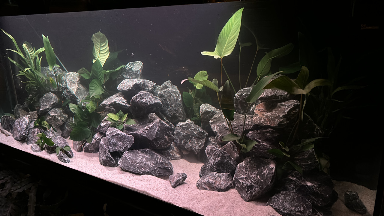 F83A53C8-B406-431F-A766-86F342CDFFFC