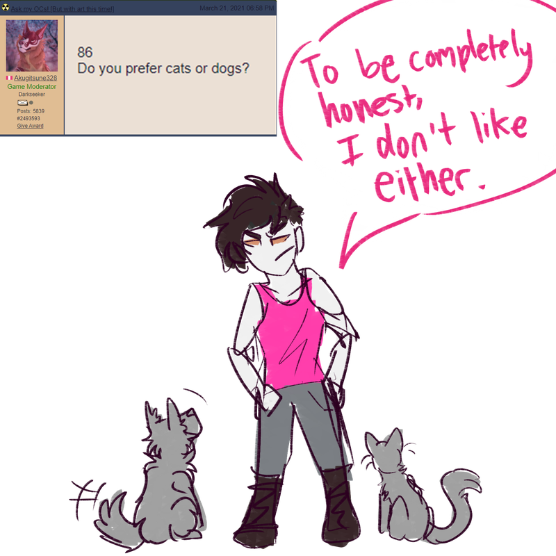 Cats-or-dogs.png
