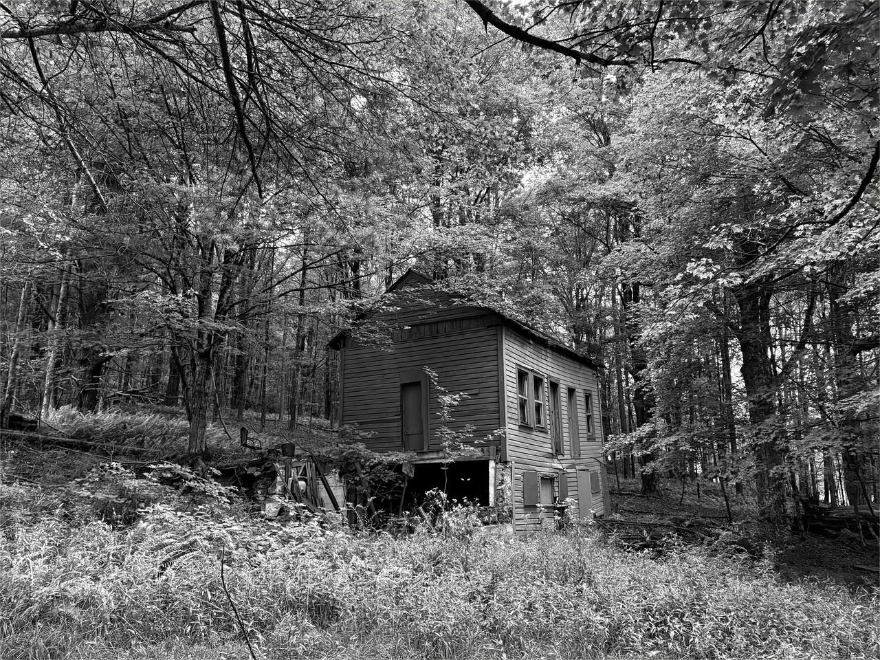 August-31-27bw