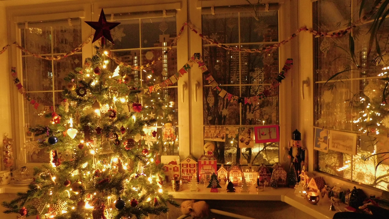 елки в огнях январь 2024 007