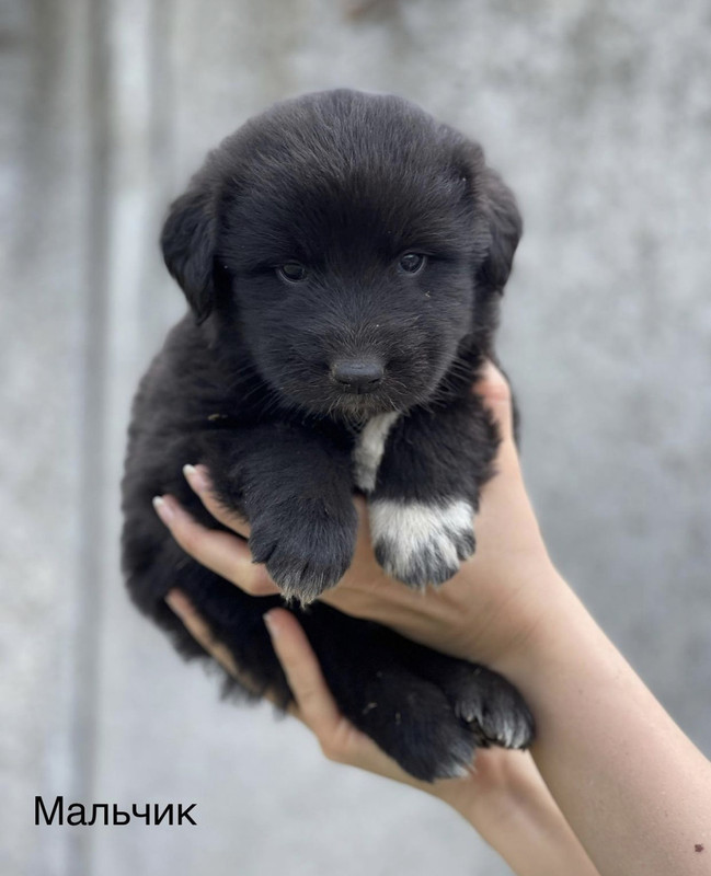 13D3A432-5991-4C07-A8A9-6C321816C4BF