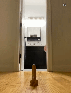 ezgif-4d4409f1e36a9.gif