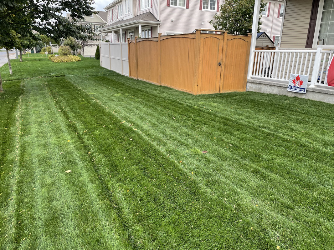 90C9E45F-3A92-4A72-B3D8-B544C8F58BE5