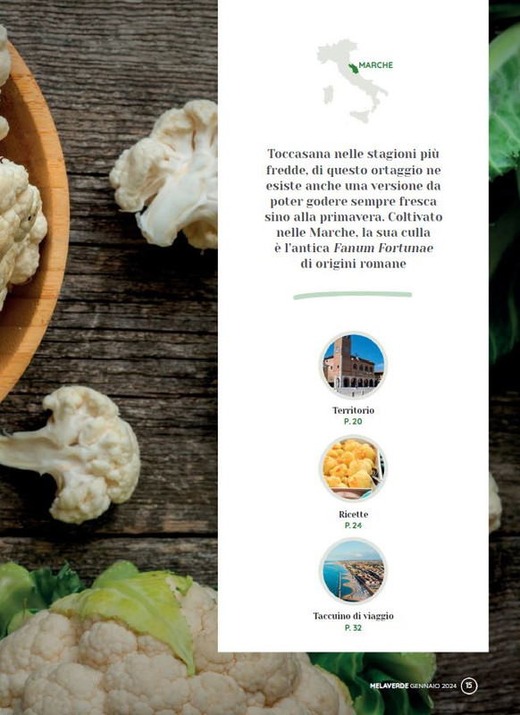 melaverde Gen 2024 (2)