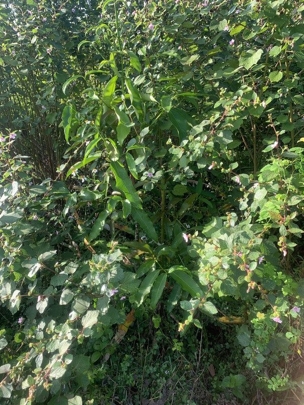 F347CCD0-9312-416E-8D05-D7FA4AF60FBF