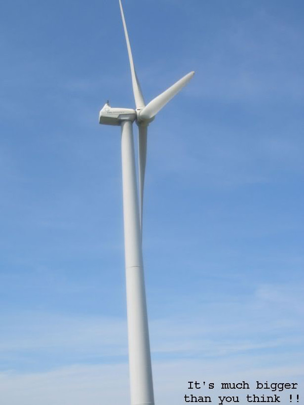 WindFarm3