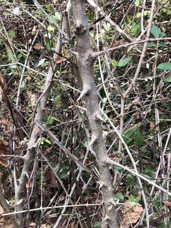 0BF33A00-63D8-4948-857F-B3063F6EA211