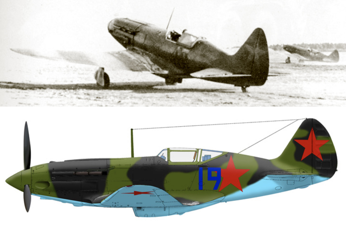 Mikoyan-Gurevich-MiG-3-162IAD-43IAD-Blue-19-Leningrad-Front-summer-1942-01
