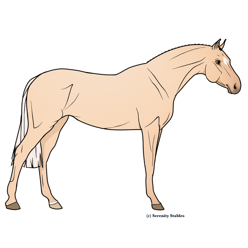 Untitled470-20240507224229.png