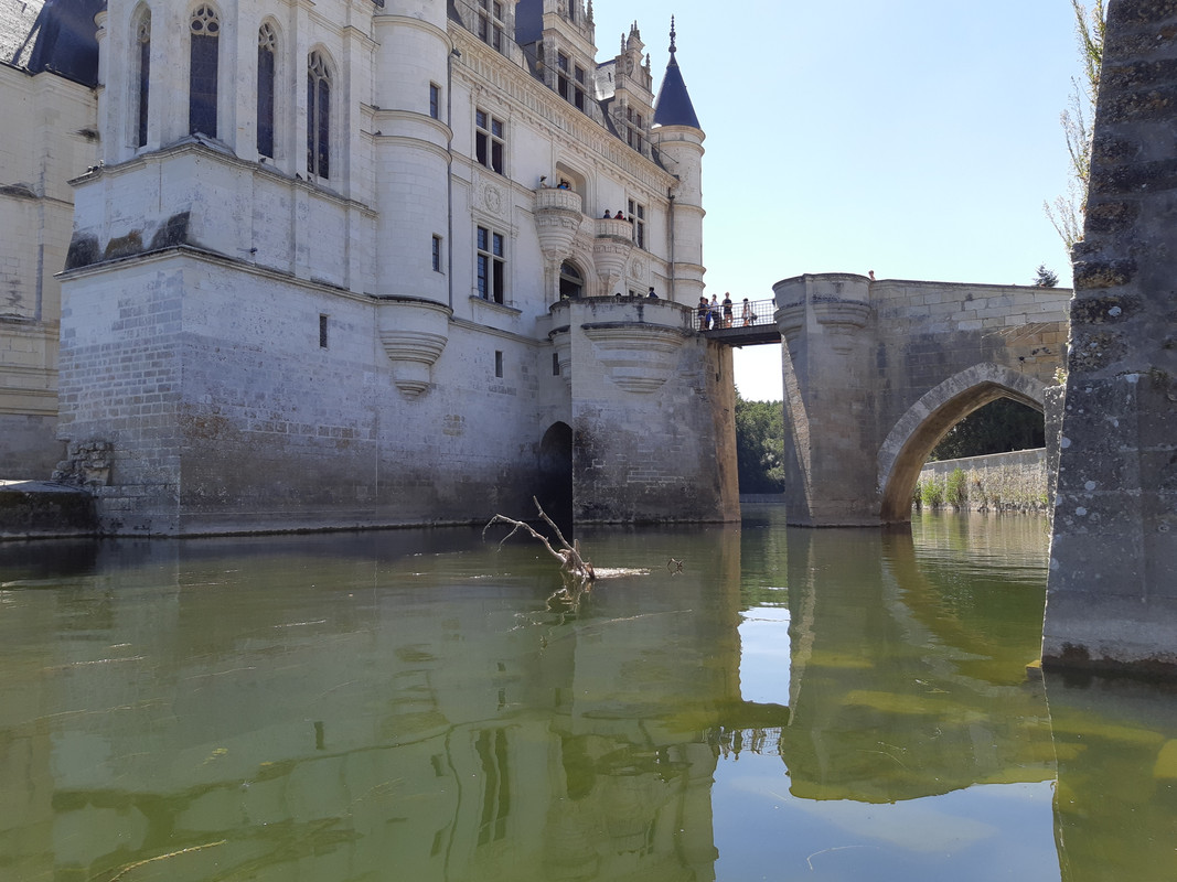 11.01 - 20180806_144706 (PiTT)