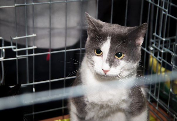 78C4F507-0B61-4545-BF3B-CC7835B83971