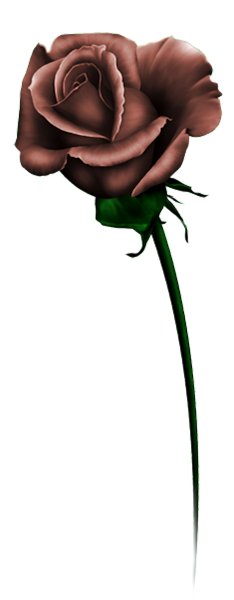 TADD_BrownLove_elements (105)
