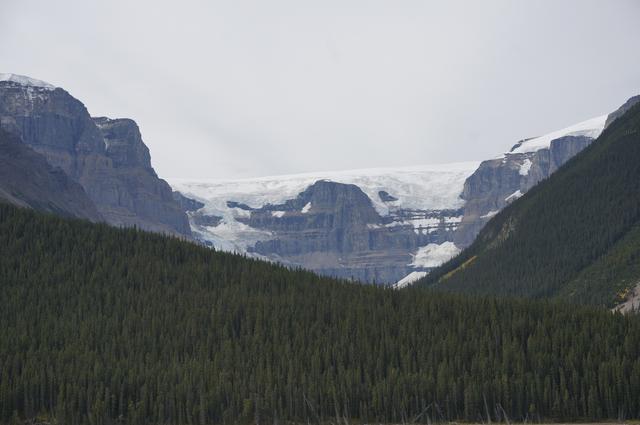 Día 7: Icefields Parkway: La carretera escénica mas bella - Vancouver y Rocosas Low Cost: Dos semanas por lo mejor de Canadá (3)