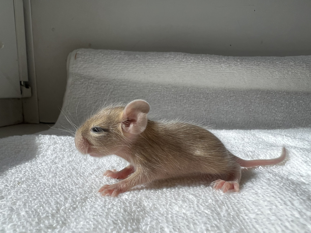 C3FA3141-C2CA-42F2-BA3D-380423C69C09