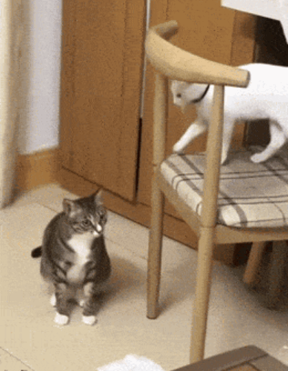 002.gif