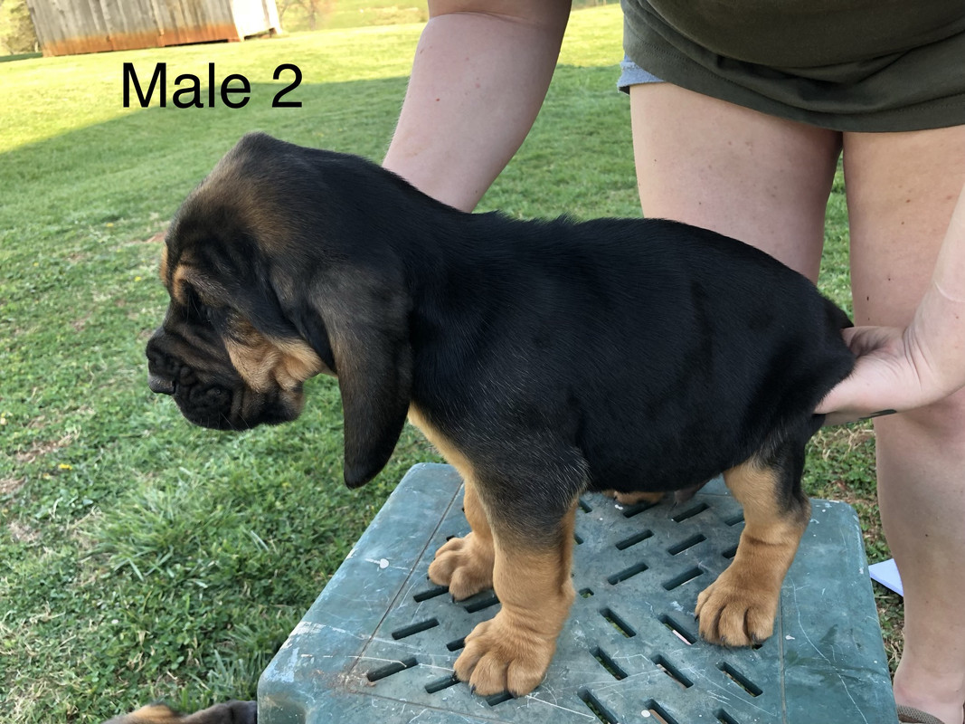 373E08FC-2C97-40C1-8B59-87F3EC7B05DF