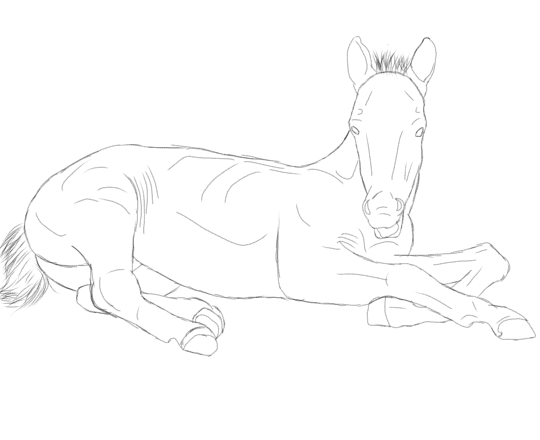 5CC98810-11AE-495D-A0F4-036AF549A1D7