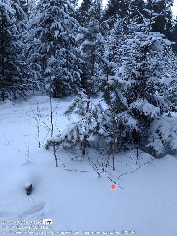 photo 30 2026 02 26 12 05 47