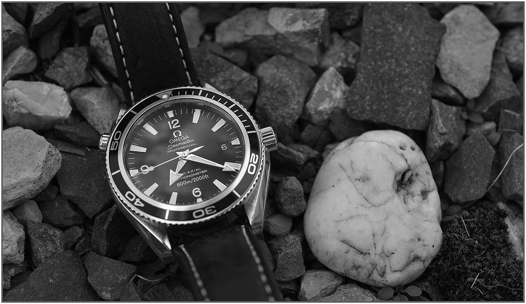 La série photo du jour - vol 2 - Page 11 DSC-0562