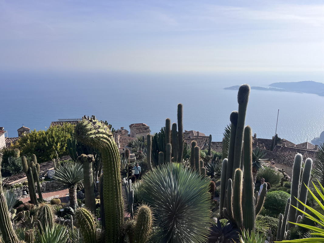 [Image: IMG-1347.jpg]