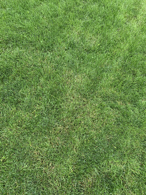 4C0A7EE9-690F-425A-8457-E3B783E94A5A